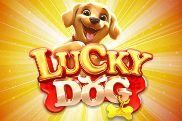 Lucky Dog